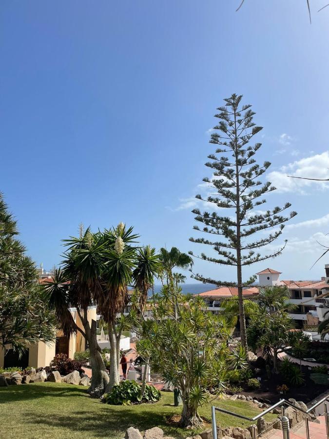 Paraiso Albatros, Beautiful Complex San Miguel de Abona Exteriör bild